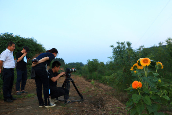 IMG_2748_wps图片_副本.jpg
