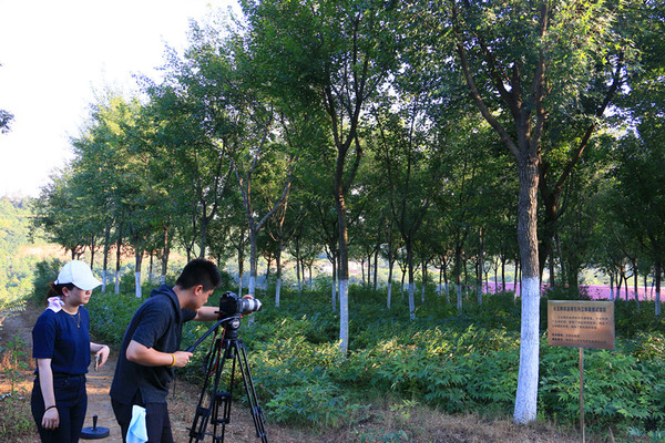 IMG_2616_wps图片_副本.jpg