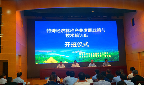 QQ图片20190903163224_副本.jpg